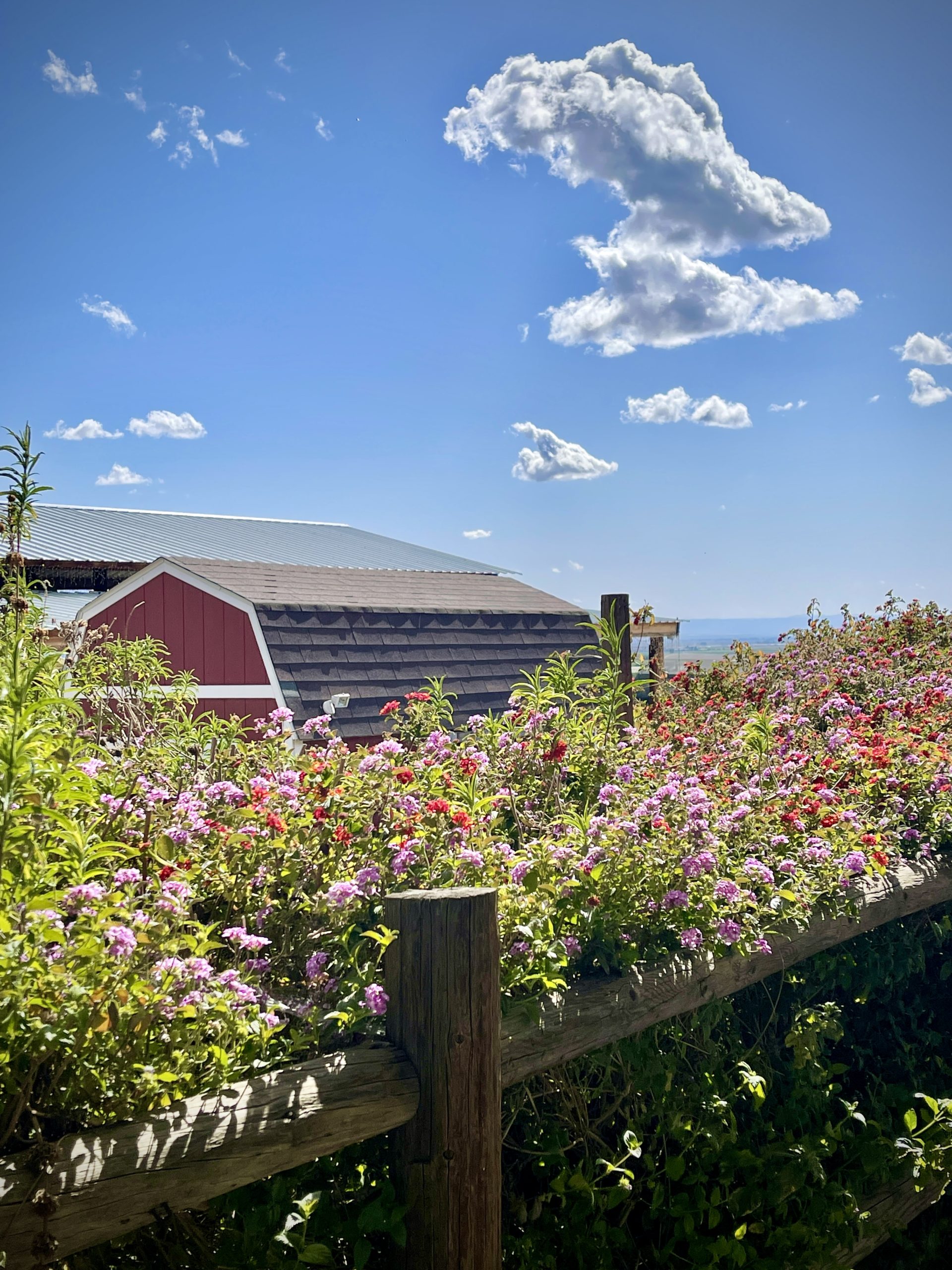 Silver clouds against a blue sky hovering above a red barn roof with wildflowers in the foreground.
