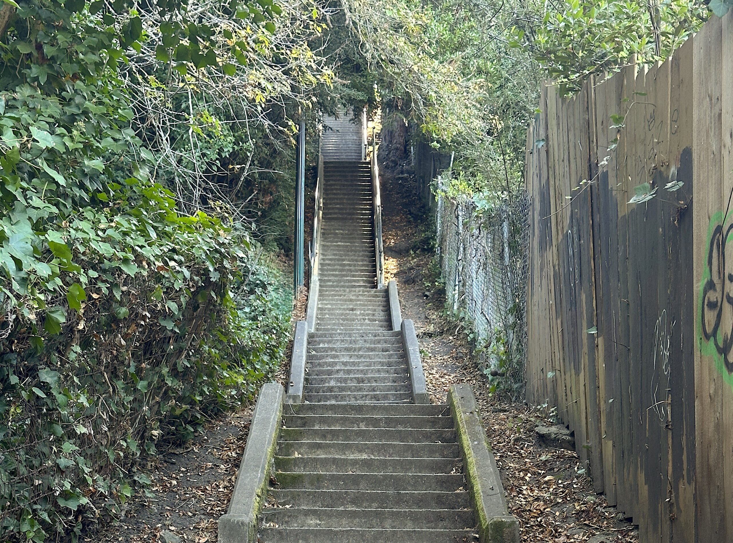 Image of a very long set of stone steps that have no end leading up through some greenery.